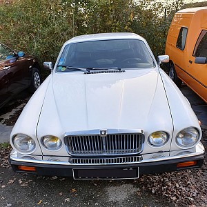 Jaguar_01